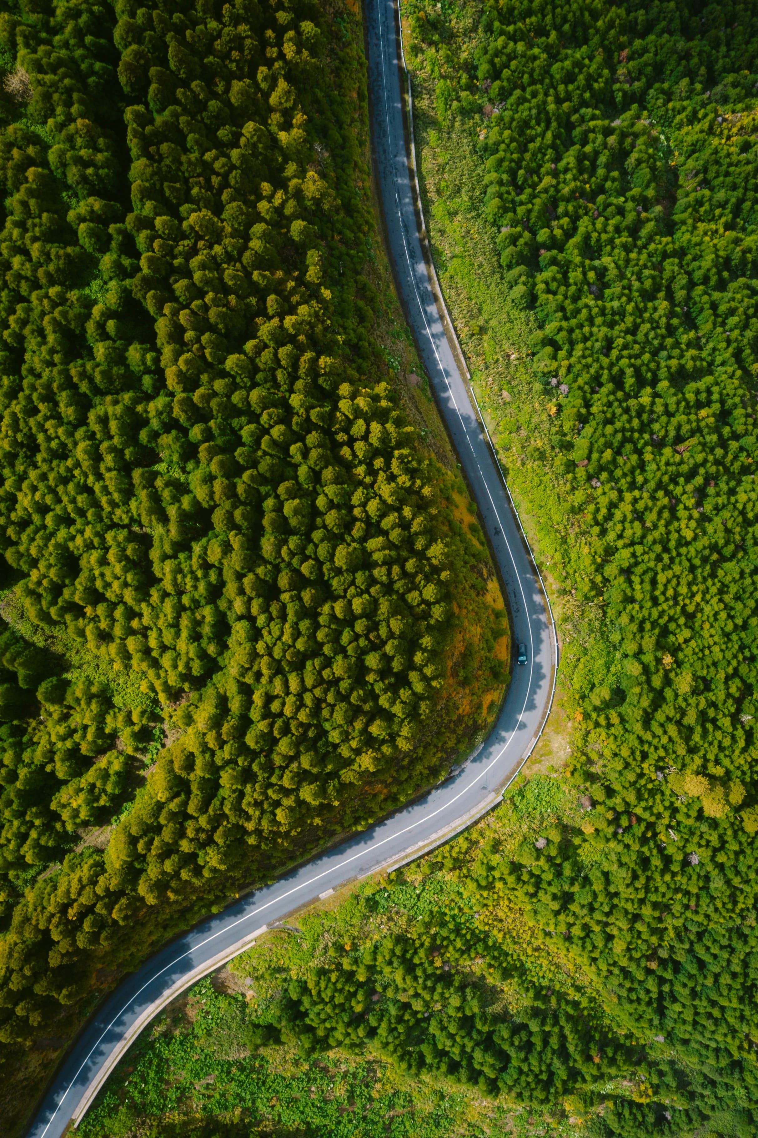 Route vue du ciel, à travers la forêt