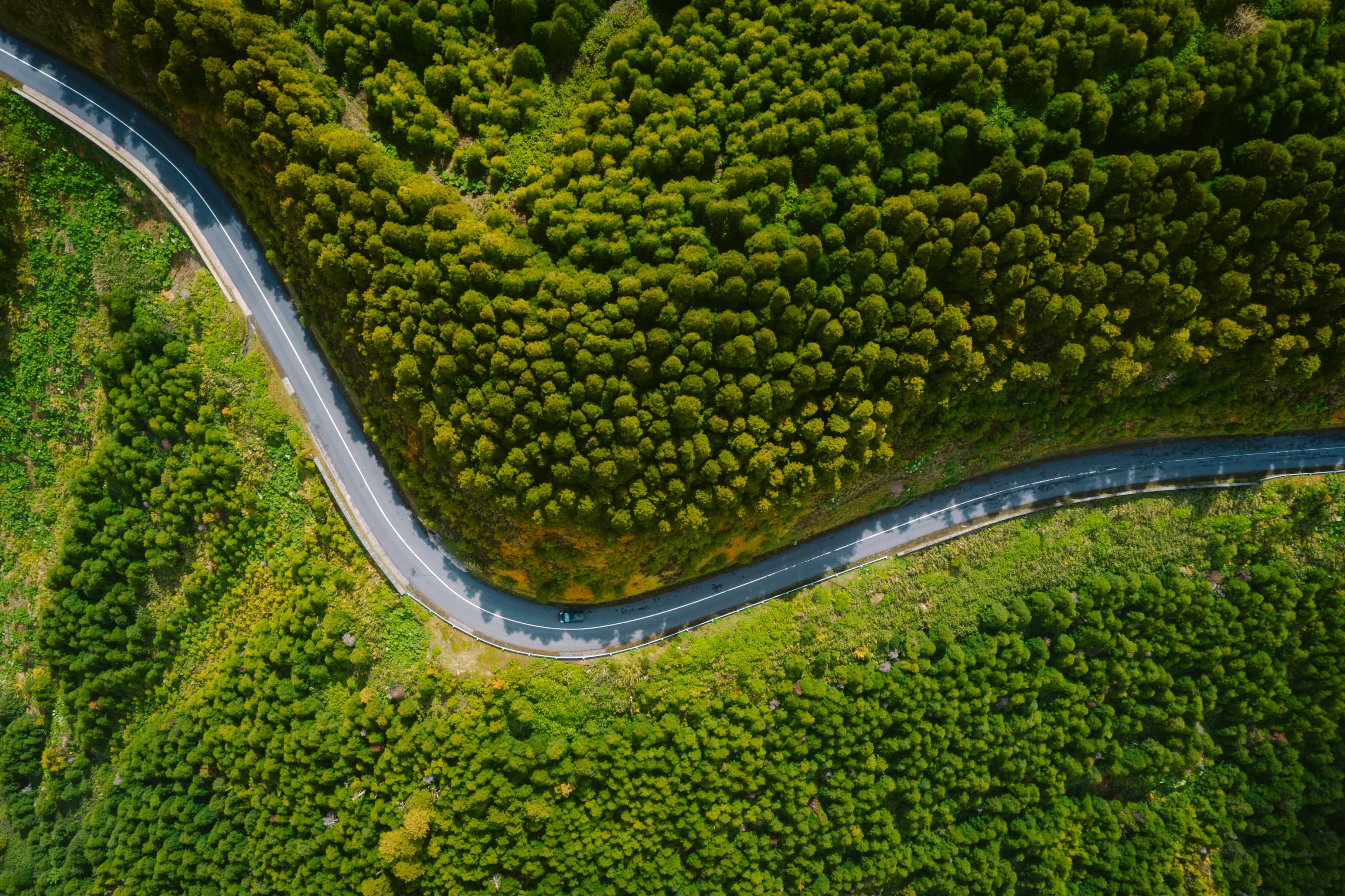 Route au départ d’une auto-école