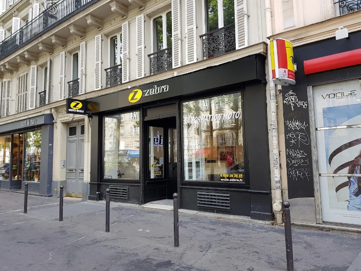 Zebra Paris 11