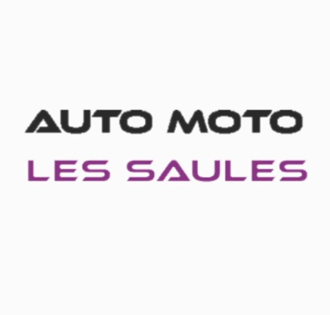 Logo de Auto-école Les Saules