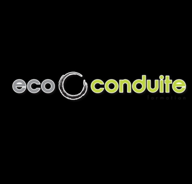 Logo de FIRST DRIVE éco Conduite