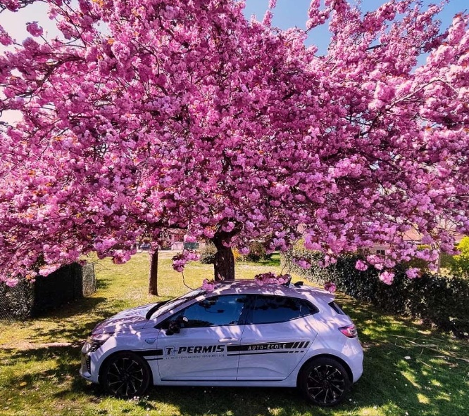 T-Permis - Photo 6