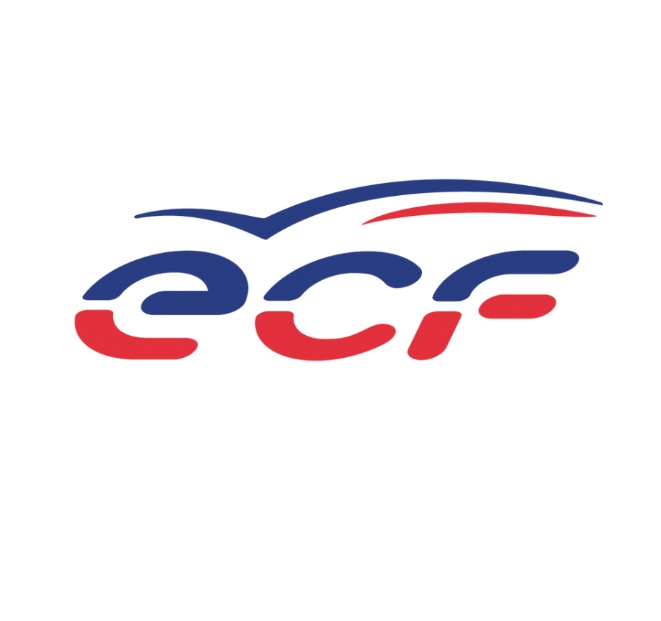 Logo de ECF YANIC Vienne