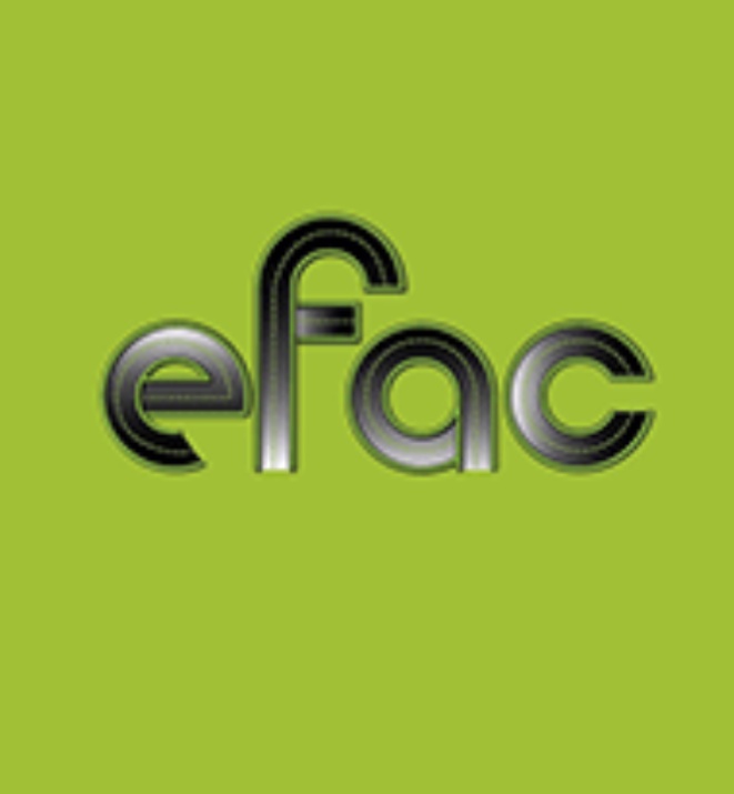 Logo de Auto-école EFAC