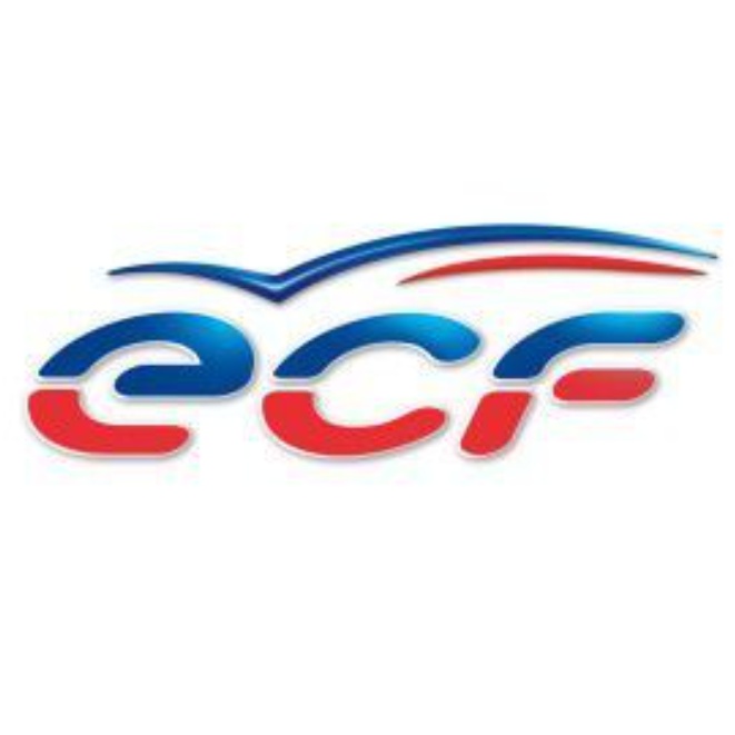 Logo de ECF DRIVE FORMATION - Saint-Gaudens