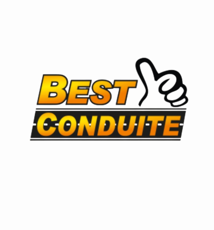 Logo de Best Conduite