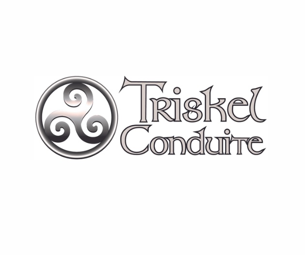 Triskel Conduite - Photo 2