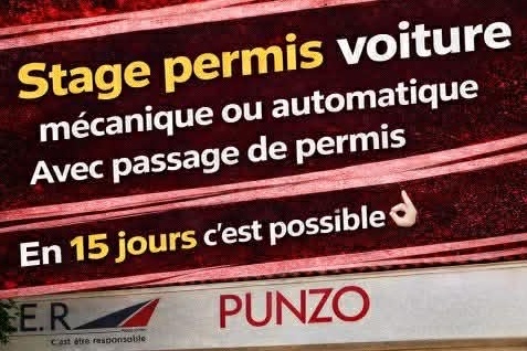 CER PUNZO SAINT JULIEN - Photo 3