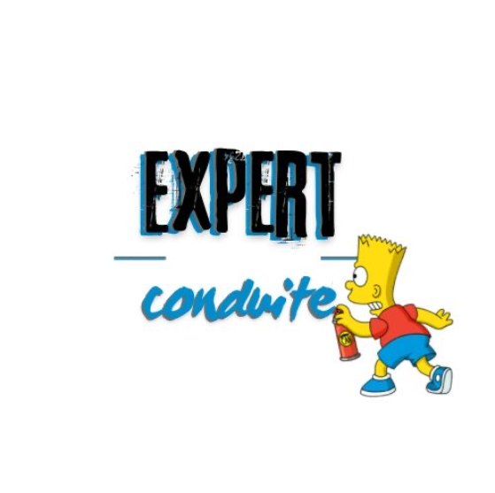 Logo de EXPERT CONDUITE