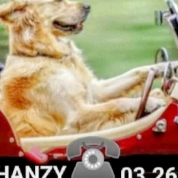 Logo de ECOLE DE CONDUITE AUTOMOBILE